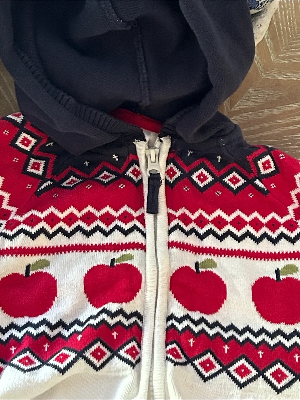 Gymboree Faire Isle Fall Harvest Hooded Autumn Apple Sweater Cardigan Jacket